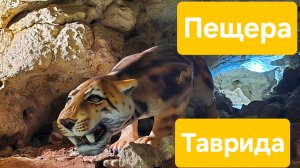 Пещера Таврида. Крым 2025. Самая доступная пещера.mp4