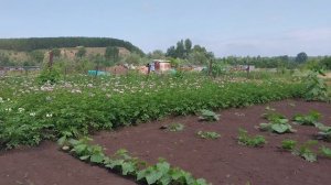 ЖИЗНЬ ВДАЛИ ОТ ГОРОДА.