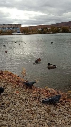 Озеро.Горячий Ключ