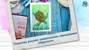 Пошагово рисунок акварельными карандашами «Черепаха»