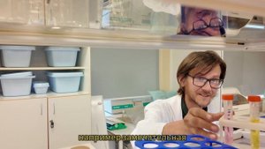 Интересные факты о спирулине