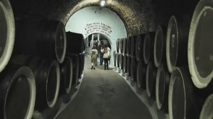 Солнечная Долина (Крым) - винные подвалы.