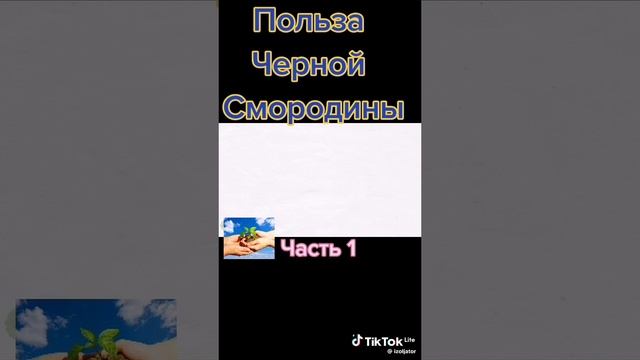 И витамины группы B