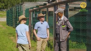 Живая школа-2. Анонс. Канал В Мире Животных