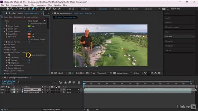 018 Using color correction