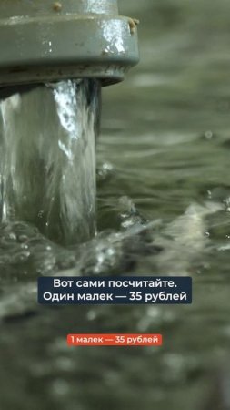 Цена на малька и сроки окупаемости осетровой фермы в Мамадыше #деньги #рыба #бизнес