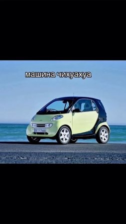 Кто так же разбирается?😁