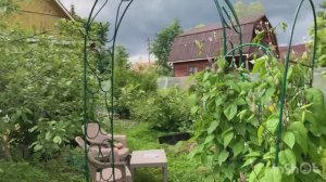 Сад 5 июля. Устанавливаю опору под клематис.