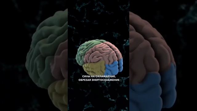 1000468026.mp4