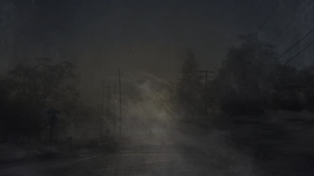 03 - The pursuit