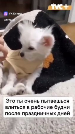 это про меня