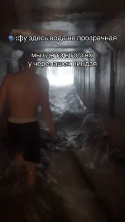 Жизаааааааааааааааа
