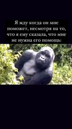 До сих пор ждет