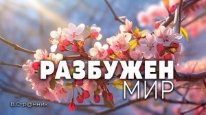 Разбужен мир - видео