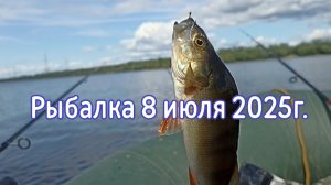 Рыбалка 8 июля 2025г.