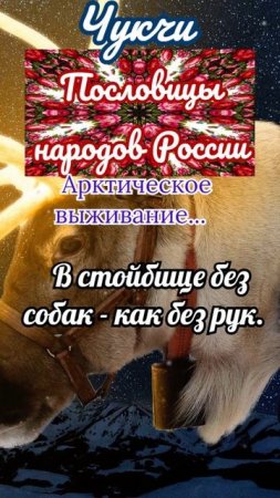 пословицы