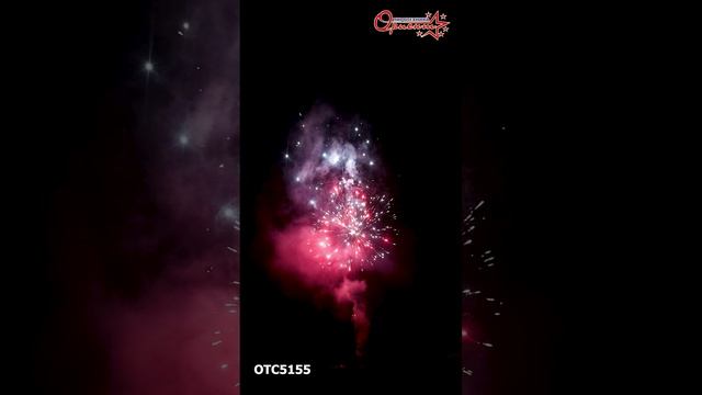 OTC5155 2025г