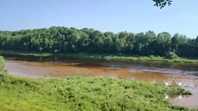 ⚡️Трагедия в Витебском районе: в реке утонул мальчик.
