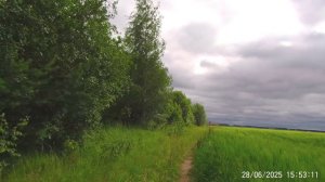 Рядом с полем в Йошкар-Ола июнь 2025