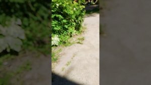 Тест универсальных ключей от УНДМК комплект УК 12 ч.3