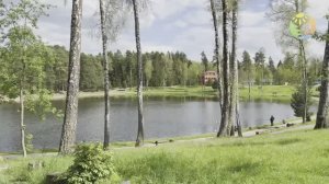 Детский языковой тур "Простолето"