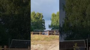 Уткуль с Арго 2021г.