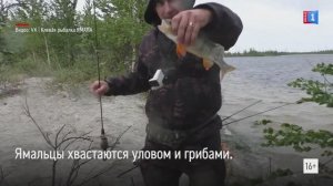 Ямальцы хвастаются уловом и грибами