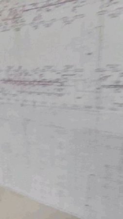 1000010090.mp4
