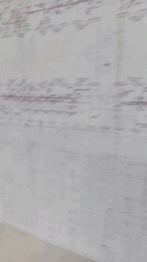 1000010090.mp4