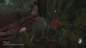 The Forest