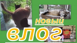 ВЛОГ: КЛАССНЫЕ ПОКУПКИ И ДРУГОЕ))