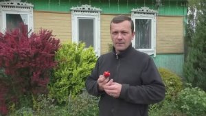 Из Деревни в Деревню. Про Две свадьбы, Мульчу, Куда пропали и...