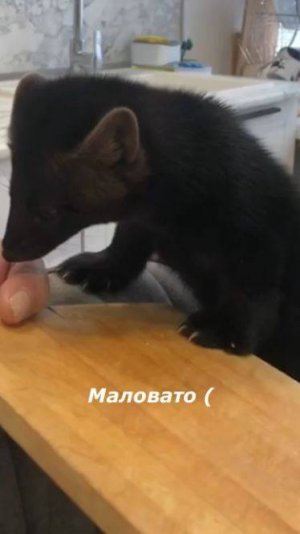 Если я мясо не брала, то уже не отдам ))) 
Правда-правда!!!