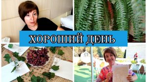 10-07-2025 ОТКЛЮЧИЛИ СВЕТ💡МОРЕ БЕЗ МЕДУЗ👍АРТ-ТЕРАПИЯ КОФЕМ❤️