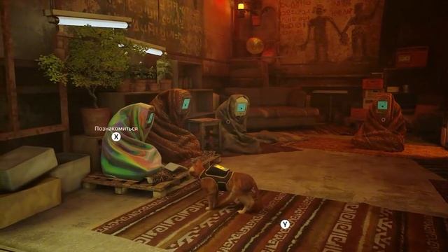 Stray 7 смотреть онлайн