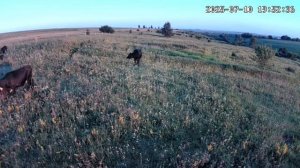 Камера видео наблюдения