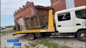 Ручную медведицу Машу из Листвянки забрали в питомник «К-9»