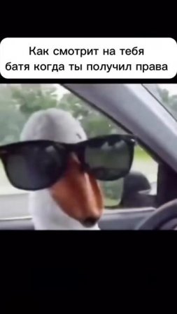 Как то так получается ️