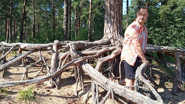 Нулевая видимость