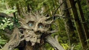 «что это значит». «докс», «скуф», «пикми», «нормис», «вонёнизм».