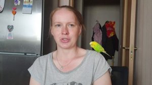 Вязовлог. новые марафоны. первый питомец. планы. подарки. покупки.