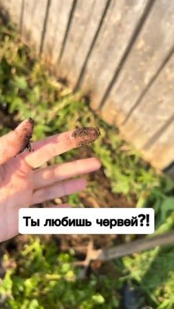 Вкусные черви!