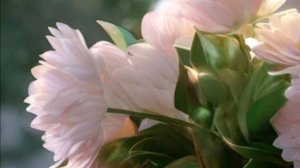 Необычные открытки с добрым утром красивые оригинальные 🌸 НОВИНКА