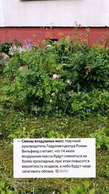 Когда спадет жара в Подмосковье?
