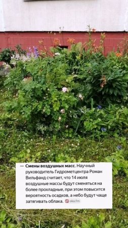 Когда спадет жара в Подмосковье?