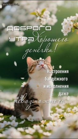 Удачного дня всем