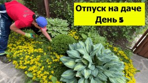 Отпуск на даче День 5. Образцовый палисадник накануне Дня Рожденья