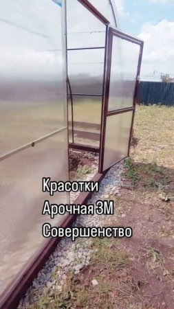 АРОЧНАЯ ТЕПЛИЦА