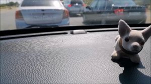 Опять операция? Да никто тетю Мотю не собирается отговаривать...