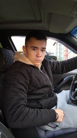 Не недооценивайте собак